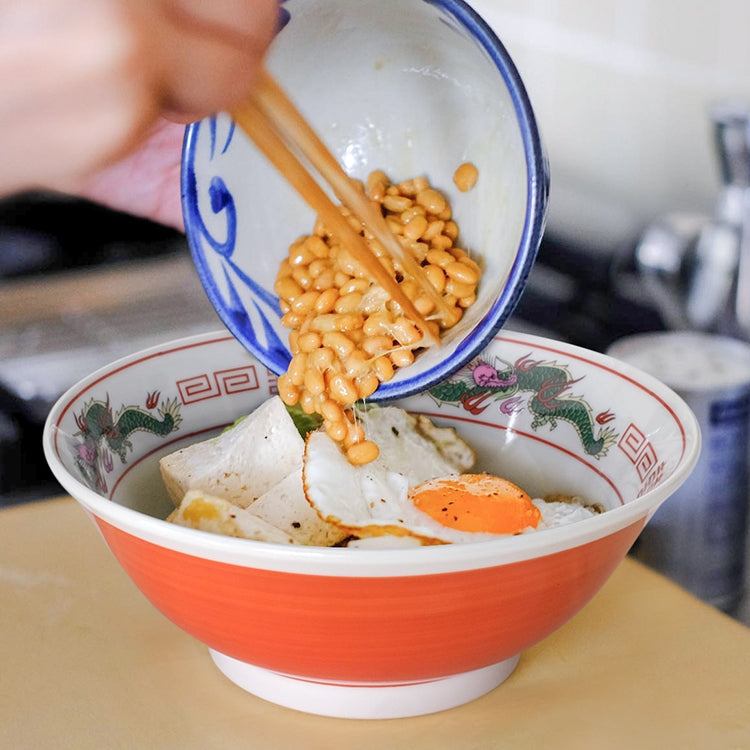 Mino Ware Handcrafted Sekiryu Ramen Bowl Series