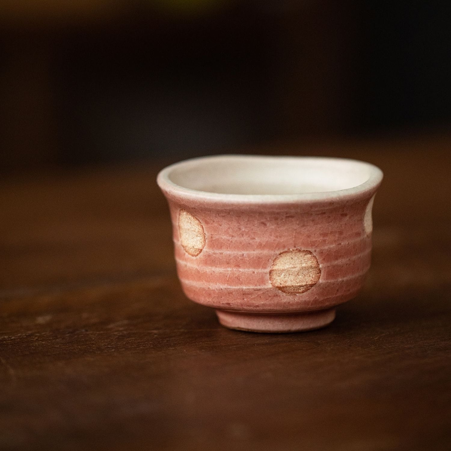 Hatsuichi Mino Ware Handcrafted Haru-no-Sato Ceramic Tea Cups Set Of Five