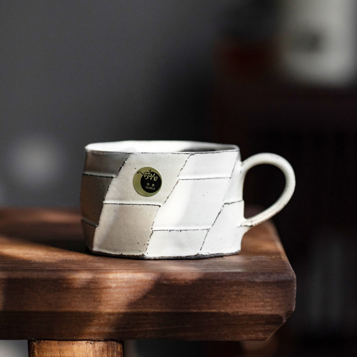 Shigaraki Ware Handcrafted Wabi-Sabi Coffee Mug