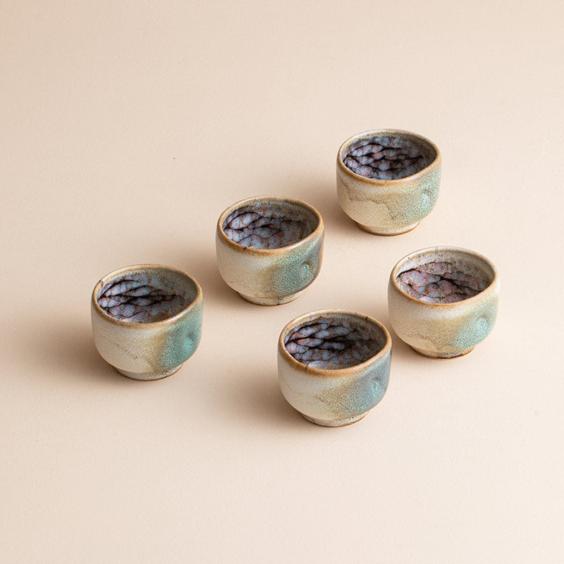 Nunobiki Ware Handcrafted Yukifubuki Tea Cup Set of Five