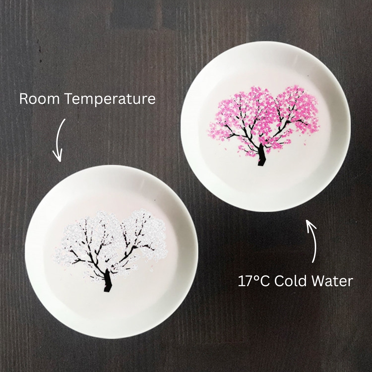 Ensemble de tasses à sake à fleurs froides thermochromiques Sakura en Mino Ware