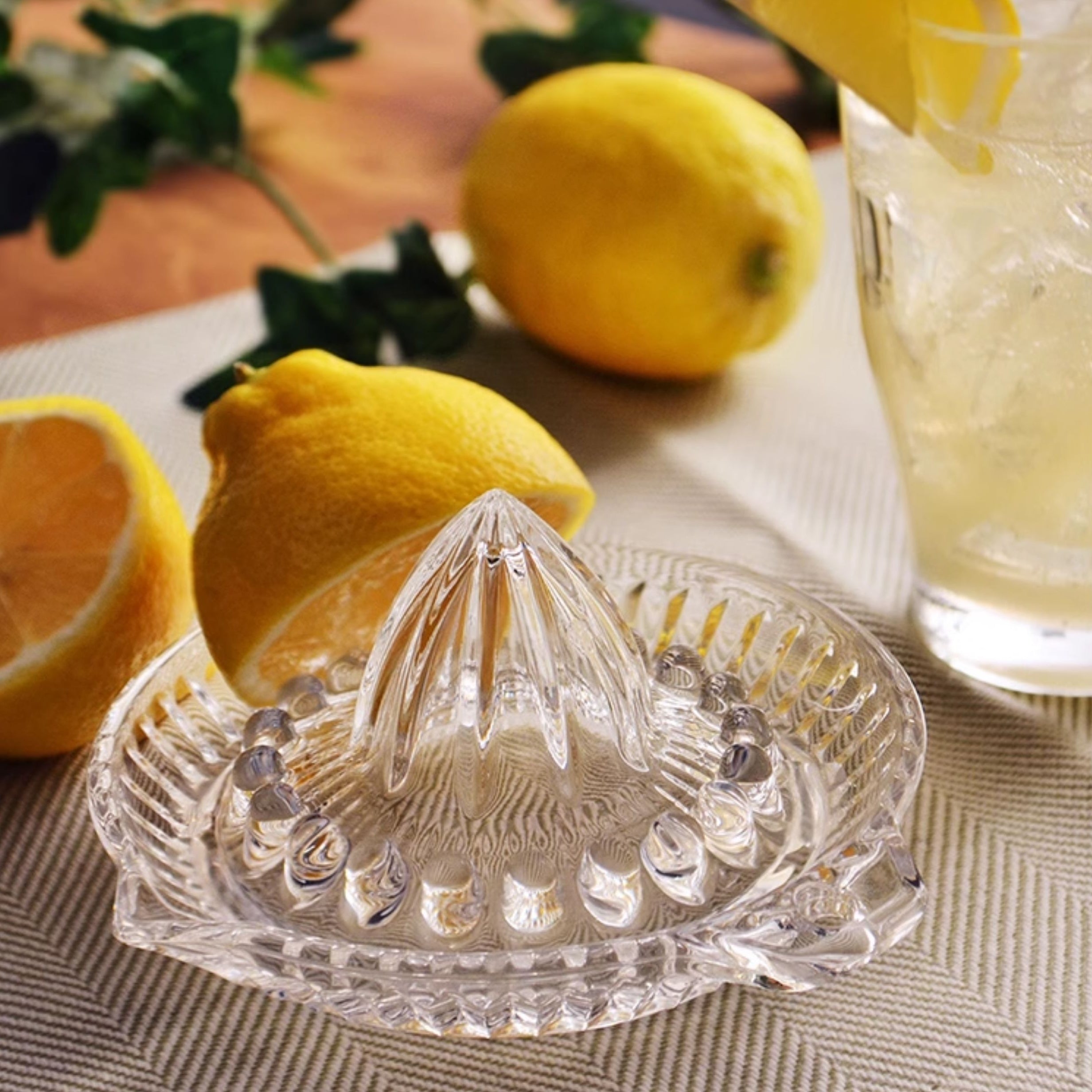 Toyo-Sasaki Handcrafted Juicer Glass Set of Two