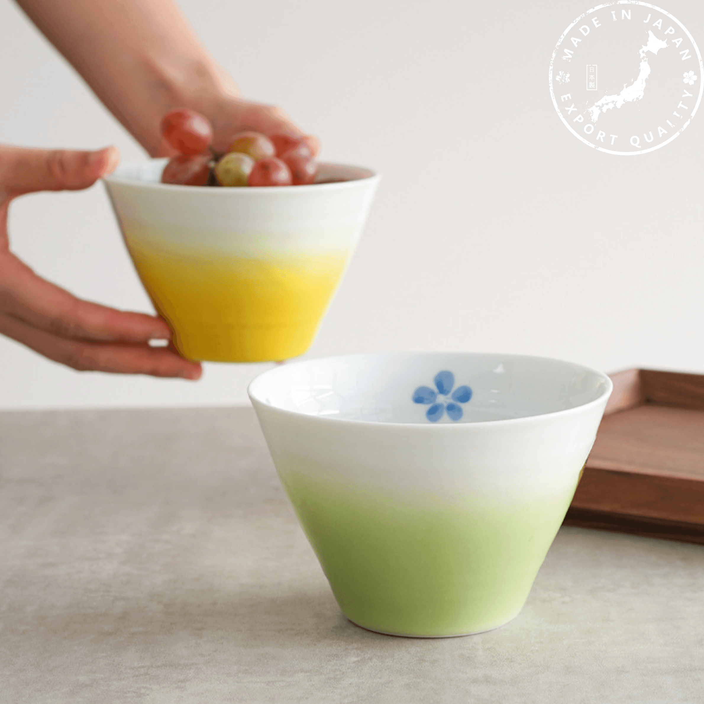 Japanese Handcrafted Arita Ware Ceramic Gradient Ombré Conical Bowls - MASU